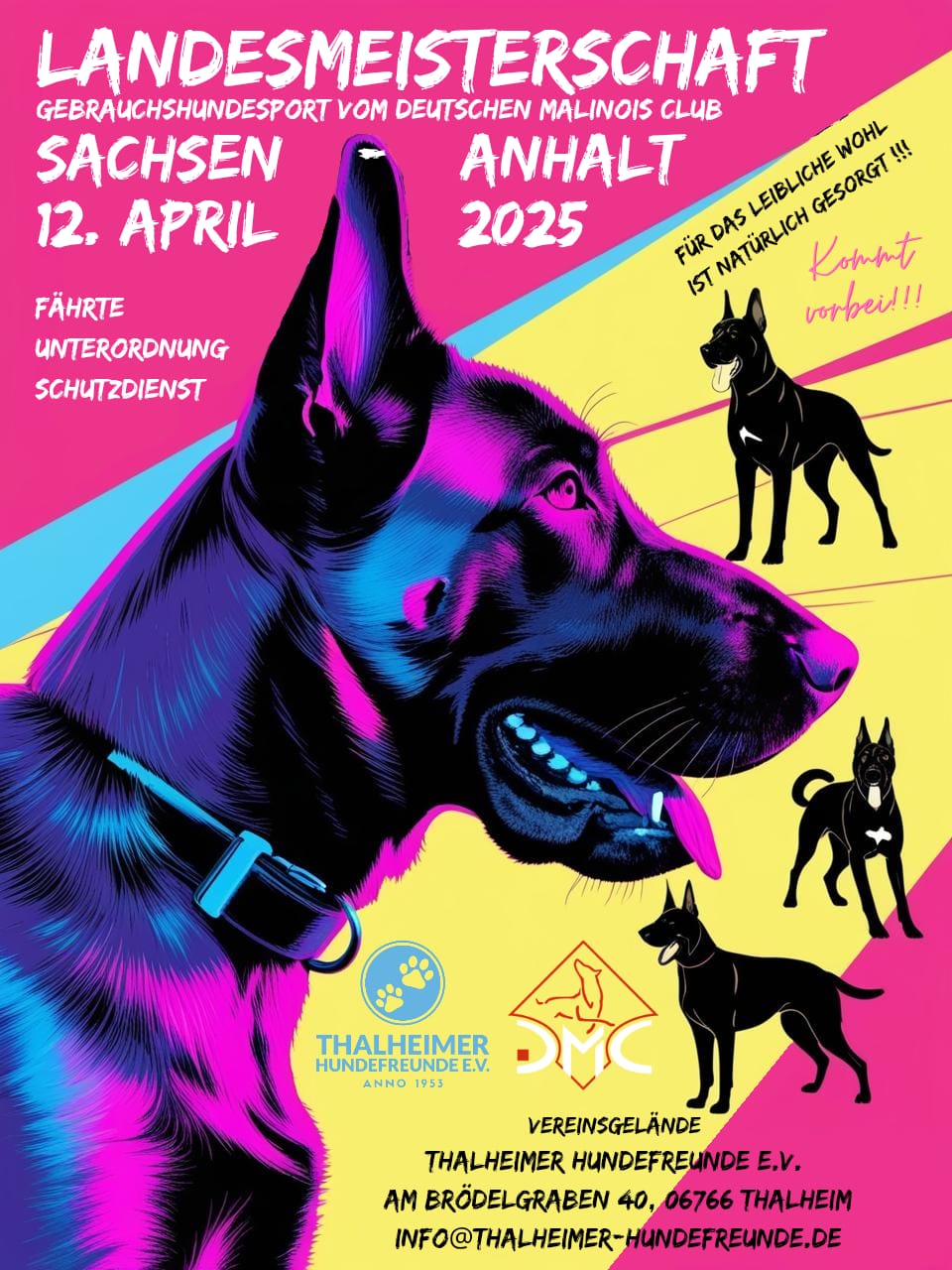 Landesmeisterschaft des DMC Sachsen-Anhalt 2025